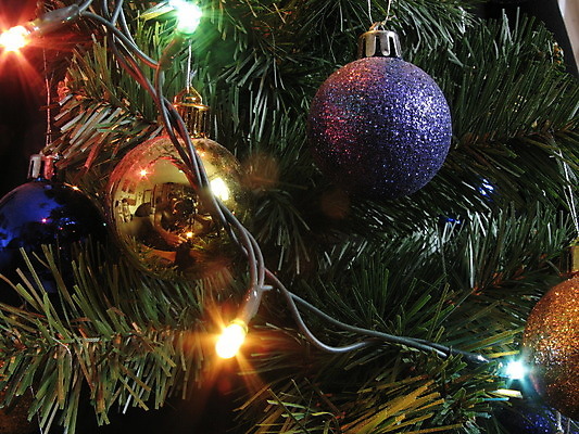 포토 JPG 해외이미지 크리스마스 선물 사람없음 장식 전나무 해외202004 해외포토 나무 기념일 파일형식 이미지허브