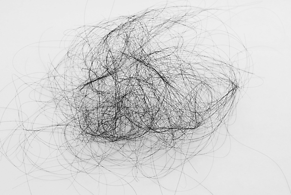 포토 JPG 해외이미지 사람없음 뷰티 머리카락 흰배경 두피케어 탈모 탈모클리닉 해외202004 탈모예방 해외포토 백그라운드 머리 흰색 예방 클리닉 헤어관리 증상 파일형식 이미지허브