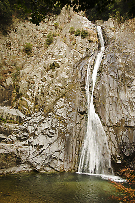 포토 JPG 해외이미지 나무 계절 공원 여행 이동 잎 휴가 휴식 풍경 사람없음 야외 물 햇빛 일본 폭포 흐름 에너지 가을 흰색 신선 숲 큼 깊이 해외202004 해외포토 자연요소 식물 공공시설 아시아 컬러 컨셉 자연 태양 크기 파일형식 이미지허브