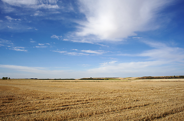 포토 JPG 해외이미지 전통 종교 도로 사람없음 껍질 스페인 망토 서명 루트 방법 산티아고 순례 신앙심 해외202004 해외포토 유럽 길 교통시설 파일형식 이미지허브