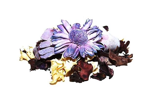 포토 JPG 해외이미지 식물 꽃잎 꽃 문화 분홍색 잎 재료 자연 건조 건강 씨앗 사람없음 빨간색 보라색 흰색 신선 양념 그룹 허브 향신료 유기농 거베라 아로마테라피 목련 고립 시나몬 줄서기 강황 해외202004 해외포토 웰빙 컬러 식재료 모션 생태계 테라피 향미료 파일형식 이미지허브