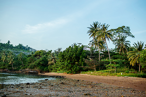 포토 JPG 해외이미지 나무 식물 구름 계절 바다 하늘 휴가 전등 산 풍경 사람없음 물 여름 파란색 빛 컬러풀 흰색 연못 시간 뜨거움 장면 암초 코코넛 순간 해외202004 해외포토 자연요소 컬러 과일 조명 파일형식 이미지허브