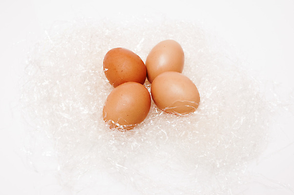 포토 JPG 해외이미지 모양 음식 백그라운드 농업 다이어트 자연 조류 아침 부활절 건강 사람없음 농장 갈색 노란색 바구니 식사 치킨 껍질 흰색 신선 그룹 플랫 아침식사 먹기 오브젝트 유기농 노른자 점심식사 고립 메추리 스크램블 암탉 해외202004 해외포토 주간 동물 웰빙 기념일 산업 컬러 모션 계란 닭 암컷 계란요리 생태계 닭고기요리 파일형식 이미지허브