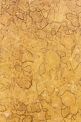 포토 JPG 해외이미지 벽 백그라운드 오렌지 자연 표면 날씨 추상 바닥 사람없음 목재 갈색 노란색 우주 어둠 줄무늬 수확 골동품 판넬 얼룩 거친 닫기 널 낟알 질감 복고 먼지 목공예 스크래치 잡동사니 내추럴 그런지 수목 옛날 해외202004 해외포토 나무 컬러 무늬 농업 과일 재료 모션 공예 생태계 파일형식 이미지허브