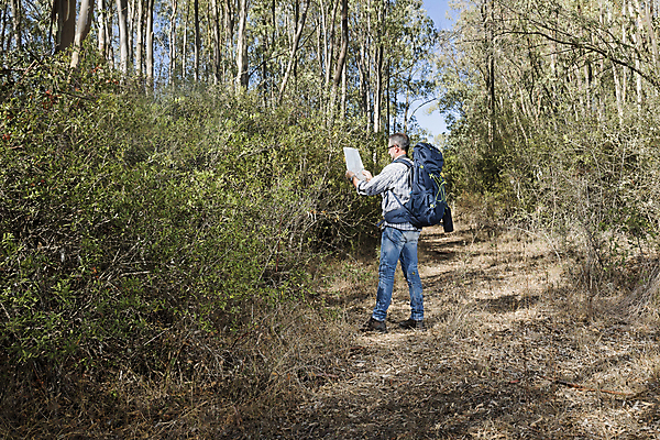 포토 JPG 해외이미지 나무 식물 1 라이프스타일 응시 계절 공원 노년 남자 스포츠 여행 배낭 자국 자연 수염 건강 한명 서기 풍경 성인 취미 야외 목재 여름 여행객 카메라 산책 하이킹 시골 숲 은퇴 사진사 장면 루트 옛날 오리엔테이션 하이커 해외202004 해외포토 시선 공공시설 가방 재료 모션 레저 휴식 사람 생활 전자제품 작가 생태계 파일형식 이미지허브