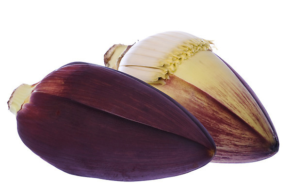 포토 JPG 해외이미지 식물 꽃 음식 농업 채소 자연 바나나 건강 사람없음 초록색 식사 신선 닫기 맛 먹기 묘사 날것 내추럴 고립 식용 해외202004 해외포토 산업 컬러 컨셉 과일 모션 생태계 파일형식 이미지허브