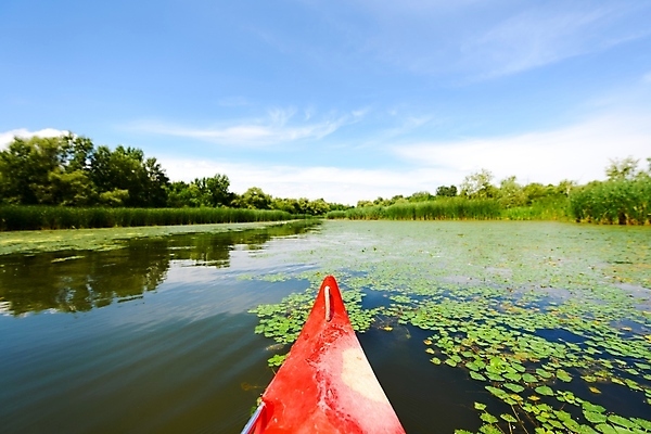 포토 JPG 해외이미지 구름 공원 호수 여행 자연 하늘 항해 갈대 풍경 사람없음 야외 목재 물 여름 파란색 강 평화 흰색 뜨거움 보트 황무지 작음 함선 카누 카약 헝가리 내추럴 추적 해외202004 해외포토 자연요소 나무 식물 계절 공공시설 컬러 컨셉 배_교통 재료 모션 수상스포츠 크기 생태계 동유럽 파일형식 이미지허브