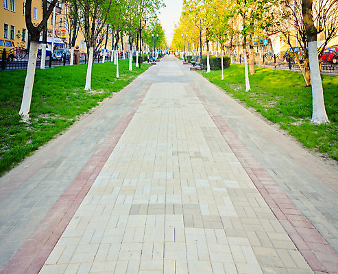 포토 JPG 해외이미지 모양 나무 식물 디자인 공원 도로 길 선 백그라운드 패턴 포장 자연 표면 추상 벽돌 거리 바닥 사람없음 야외 초록색 정원 산책 블록 회색 조약돌 흰색 보행로 오솔길 타일 질감 정사각형 땅바닥 방법 화강암 해외202004 해외포토 도형 공공시설 컬러 무늬 교통시설 휴식 암석 돌_바위 생태계 파일형식 이미지허브