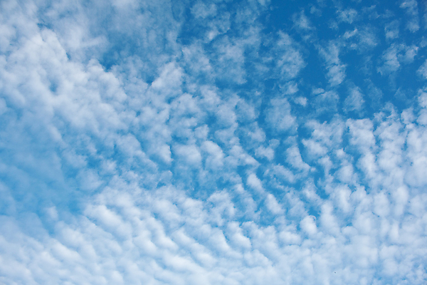 포토 JPG 해외이미지 구름 디자인 계절 물결 파도 바다 여행 텍스트 자연 하늘 표면 아침 추상 풍경 사람없음 야외 여름 파란색 빛 햇빛 태양 반사 일출 환경 화목 침묵 일몰 자유 개울 저녁 장면 천국 무한 완벽 잔물결 수평선 해외202004 해외포토 주간 자연요소 컬러 컨셉 무늬 강 노을 소리 야간 생태계 파일형식 이미지허브