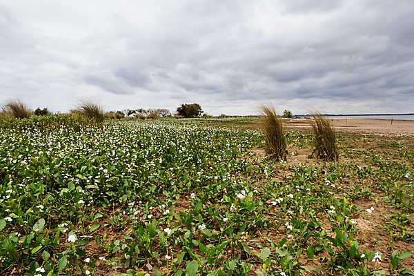 포토 JPG 해외이미지 구름 모래 섬 여행 자연 하늘 날씨 풍경 사람없음 물 여름 태양 일몰 신혼여행 흰색 시골 그림 남쪽 내추럴 뇌우 파라다이스 혼자 해외202004 해외포토 자연요소 계절 컬러 결혼 노을 방향 생태계 파일형식 이미지허브