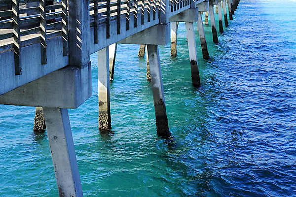 포토 JPG 해외이미지 야생동물 파도 바다 백그라운드 겨울 건축양식 자연 표면 바닥 사람없음 야외 초록색 물 파란색 빛 항구 맑음 미국 아래 시멘트 판 일반 대서양 깊이 지원 침몰 콘크리트 플로리다 해외202004 해외포토 자연요소 동물 계절 건축 컬러 북아메리카 교통시설 날씨 방향 생태계 위치 파일형식 이미지허브