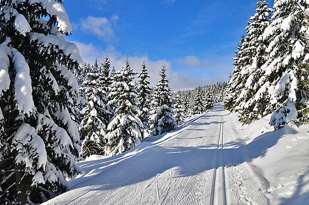 포토 JPG 해외이미지 나무 구름 계절 도로 길 스포츠 십자가 겨울 자국 자연 하늘 휴가 스키 산 풍경 사람없음 야외 목재 파란색 운동 추위 흰색 신선 숲 북쪽 선로 해외202004 해외포토 자연요소 식물 컬러 재료 교통시설 겨울스포츠 건강 방향 생태계 파일형식 이미지허브