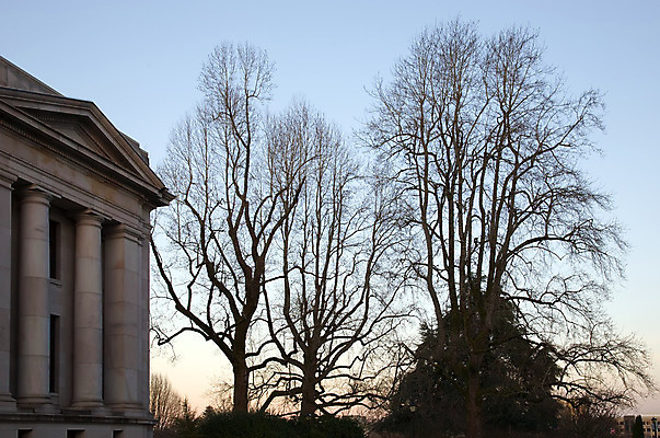 포토 JPG 해외이미지 나무 건축양식 하늘 사람없음 건물 미국 새벽 바위 기둥 저녁 석회암 정부 해외202004 해외포토 자연요소 식물 건축물 건축 북아메리카 암석 돌_바위 야간 파일형식 이미지허브