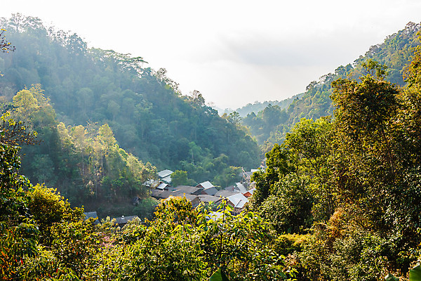 포토 JPG 해외이미지 나무 공원 여행 백그라운드 태국 자연 하늘 휴식 산 풍경 사람없음 야외 목재 초록색 빛 햇빛 태양 마을 환경 계곡 새벽 안개 숲 언덕 장면 내추럴 해외202004 해외포토 자연요소 식물 공공시설 아시아 컬러 컨셉 재료 날씨 생태계 파일형식 이미지허브