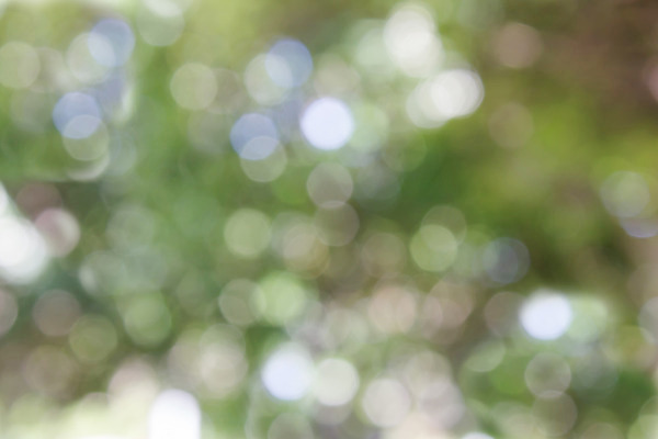 포토 JPG 해외이미지 백그라운드 불꽃 그림자 사람없음 초록색 물 파란색 빛 컬러풀 봄 펼침 수확 벚꽃 달콤 복고 보케 부드러움 공상 타격 파스텔톤 몽환 해외202004 해외포토 자연요소 계절 꽃 컬러 컨셉 농업 모션 불 감각 맛 파일형식 이미지허브