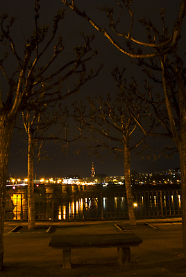 포토 JPG 해외이미지 나무 외관 유럽 문화 여행 건축양식 독일 사람없음 건물 도시 역사 야간 바로크 옛날 해외202004 해외포토 자연요소 식물 건축물 건축 나라 파일형식 이미지허브