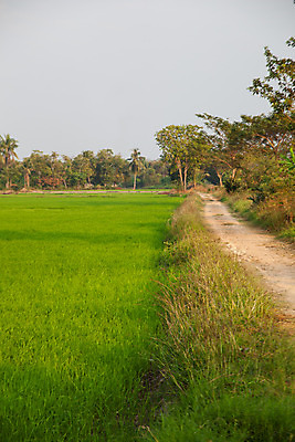 포토 JPG 해외이미지 나무 식물 계절 도로 길 여행 밭 자국 자연 하늘 풍경 사람없음 야외 초록색 여름 파란색 봄 가을 흰색 시골 땅 조경 장면 내추럴 고립 수평선 해외202004 해외포토 컬러 농업 교통시설 생태계 파일형식 이미지허브