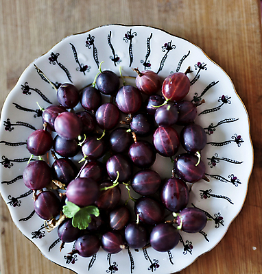 포토 JPG 해외이미지 접시 열매 음식 백그라운드 다이어트 과일 재료 디저트 건강 사람없음 빨간색 보라색 검은색 줄무늬 수확 신선 그룹 맛 먹기 유기농 질감 내추럴 구스베리 숙성 채식주의자 비건 해외202004 해외포토 식물 식기 웰빙 컬러 컨셉 무늬 농업 모션 채식 파일형식 이미지허브