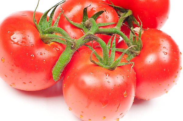 포토 JPG 해외이미지 음식 농업 다이어트 토마토 채소 재료 건강 사람없음 빨간색 초록색 식사 젖음 수확 신선 그룹 변화 다발 상쾌 유기농 날것 성분 고립 숙성 채식주의자 해외202004 해외포토 웰빙 감정 산업 컬러 컨셉 채식 파일형식 이미지허브