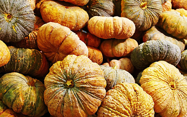 포토 JPG 해외이미지 식물 계절 음식 백그라운드 농업 채소 오렌지 자연 호박 사람없음 초록색 농작물 컬러풀 농장 노란색 정원 수확 가을 신선 시장 박 흙더미 숙성 해외202004 해외포토 산업 컬러 과일 흙 생태계 파일형식 더미 이미지허브