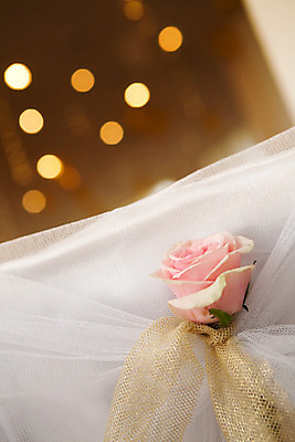 포토 JPG 해외이미지 디자인 꽃 백그라운드 크리스마스 패턴 벽지 탁자 추상 휴가 새로움 실내 사람없음 장식 빛 반짝임 장미 노란색 축제 어둠 활발 기쁨 흰색 직물 점 원형 화려 황금 야간 연도 흥분 질감 강렬 광 여의주 특별함 해외202004 해외포토 자연요소 도형 식물 기념일 감정 컬러 가구 컨셉 무늬 모션 내부 파일형식 이미지허브