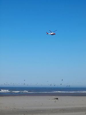 포토 JPG 해외이미지 바다 날개 경비 안전 사람없음 도움 칼날 구출 헬리콥터 항공 검색 군용 해군 기어 휘장 대피 순찰 착륙 헬프 수평선 해외202004 해외포토 컨셉 비행기 군대 보호 파일형식 이미지허브