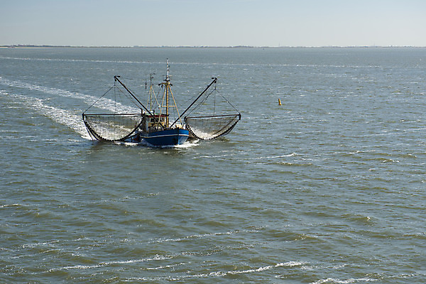 포토 JPG 해외이미지 교육 문화 바다 낚시 조개 새우 사람없음 물 세계문화유산 그물 어선 보트 행운 네덜란드 함선 홍합 뱃놀이 해외202004 해외포토 자연요소 유럽 컨셉 배_교통 레저 어패류 갑각류 전통놀이 문화재 파일형식 이미지허브