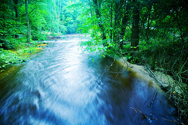 포토 JPG 해외이미지 나무 야생동물 여행 백그라운드 잎 모션 자연 벽지 휴식 산 풍경 사람없음 야외 초록색 물 여름 파란색 강 컬러풀 달리기 반사 맑음 침묵 폭포 젖음 흐름 자유 가을 시간 개울 숲 속도 장면 무료 삼림지대 해외202004 해외포토 자연요소 식물 동물 계절 컬러 컨셉 날씨 소리 생태계 파일형식 이미지허브