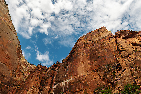 포토 JPG 해외이미지 공원 여행 북아메리카 자연 국립공원 풍경 사람없음 야외 환경 미국 절벽 땅 방문 서쪽 시온산 전국 해외202004 해외포토 공공시설 아메리카 방향 생태계 파일형식 이미지허브