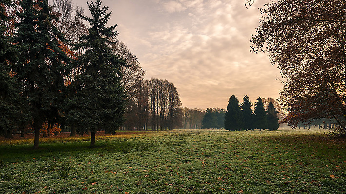 포토 JPG 해외이미지 나무 식물 계절 공원 백그라운드 잎 겨울 밭 자연 하늘 아침 날씨 풍경 사람없음 야외 초록색 파란색 빛 컬러풀 태양 일출 환경 얼음 이탈리아 추위 안개 가을 흰색 나뭇가지 신선 소나무 숲 시원함 서리 내추럴 밀라노 뿌연 해외202004 해외포토 주간 자연요소 공공시설 유럽 컬러 농업 노을 생태계 파일형식 이미지허브