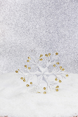 포토 JPG 해외이미지 나무 행복 백그라운드 크리스마스 겨울 패턴 자연 추상 사람없음 장식 얼음 흰색 눈송이 은색 소프트포커스 12월 심볼 오브젝트 블러 눈내림 가문비나무 카피스페이스 해외202004 해외포토 자연요소 식물 계절 기념일 감정 컬러 무늬 눈_날씨 촬영기법 공백 날짜 생태계 파일형식 이미지허브