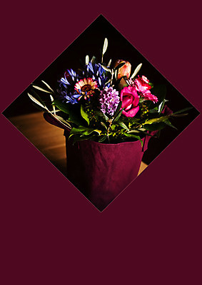 포토 JPG 해외이미지 꽃 백그라운드 컨셉 가방 탁자 사람없음 장식 빨간색 쇼핑 꽃병 보라색 어둠 봄 축하 신용카드 생일 정사각형 해외202004 해외포토 도형 식물 잡화 계절 기념일 컬러 가구 금융 파일형식 이미지허브