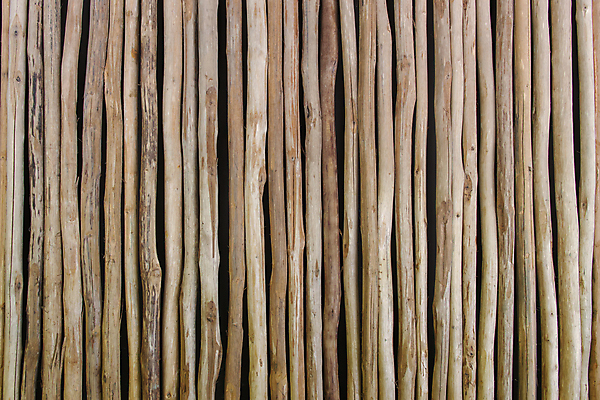 포토 JPG 해외이미지 나무 접시 디자인 벽 백그라운드 패턴 자연 표면 날씨 바닥 주택 프레임 사람없음 건물 목재 장식 갈색 줄무늬 수확 기둥 판넬 원형 거친 널 낟알 대나무 질감 복고 목공예 결 내추럴 수목 옛날 파케트 해외202004 해외포토 도형 식물 식기 건축물 건축 컬러 무늬 농업 재료 공예 생태계 파일형식 이미지허브