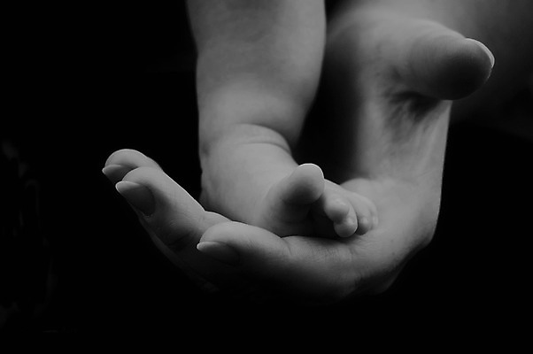 포토 JPG 해외이미지 백인 여자 꽃 딸 행복 아들 얼굴 어린이 2 가족 포옹 엄마 친절 함께함 건강 사랑 사람 소년 성인 사람없음 평화 봄 기쁨 육아 흰색 자녀 잡기 보호 결합 작음 피부 걸음마 돌봄 해외202004 해외포토 서양인 식물 계절 남자 감정 컬러 컨셉 관계 안기 모션 신체부위 크기 파일형식 이미지허브