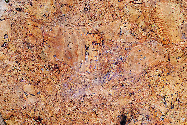 포토 JPG 해외이미지 벽 백그라운드 패턴 표면 추상 사람없음 목재 사무실 갈색 공백 기록 묘사 오브젝트 유기농 질감 복고 나무껍질 코르크 내추럴 패드 석고 엘리먼트 옛날 코르크보드 효과 해외202004 해외포토 나무 웰빙 컬러 무늬 비즈니스 재료 알림판 껍질 파일형식 이미지허브