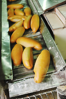 포토 JPG 해외이미지 빵 공장 실내 사람없음 기계 컨베어밸트 해외202004 해외포토 음식 공업 내부 파일형식 이미지허브