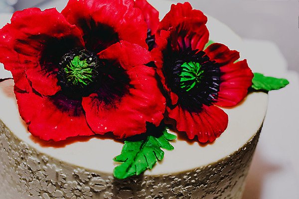 포토 JPG 해외이미지 식물 꽃잎 꽃 분홍색 꽃다발 꽃무늬 오렌지 자연 디저트 발렌타인데이 사람없음 장식 빨간색 초록색 여름 컬러풀 과자 케이크 꽃병 봄 벚꽃 흰색 냄비 데이지 양귀비 거베라 고립 해외202004 해외포토 계절 음식 컬러 무늬 과일 데이이벤트 솥 생태계 파일형식 이미지허브