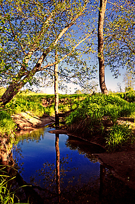 포토 JPG 해외이미지 나무 식물 여행 잎 모션 자연 산 풍경 사람없음 목재 초록색 물 여름 빛 강 햇빛 태양 평화 맑음 폭포 젖음 흐름 광선 바위 신선 개울 떨어짐 숲 속도 내추럴 해외202004 해외포토 자연요소 계절 컬러 컨셉 재료 날씨 돌_바위 생태계 파일형식 이미지허브