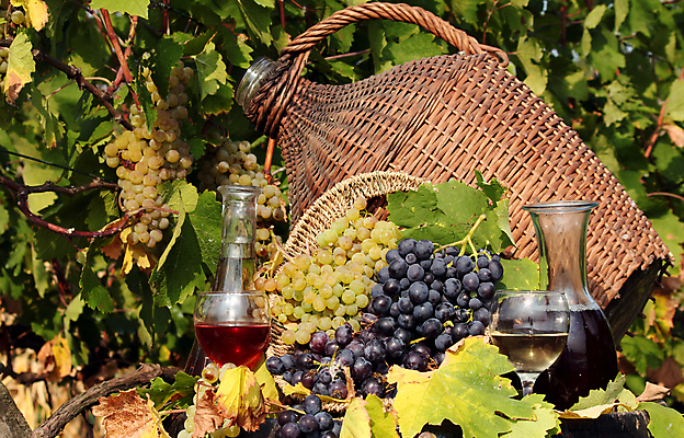 포토 JPG 해외이미지 사람없음 와인 해외202004 해외포토 주류 파일형식 이미지허브