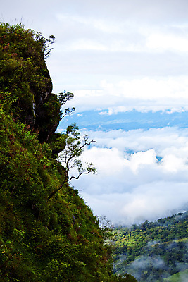 포토 JPG 해외이미지 나무 구름 계절 아시아 여행 겨울 태국 자연 하늘 휴가 산 파노라마 풍경 사람없음 야외 초록색 여름 파란색 농장 여행객 마을 하이킹 바위 시골 시간 황무지 숲 언덕 장면 절정 해외202004 해외포토 자연요소 식물 나라 컬러 농업 레저 촬영기법 사람 돌_바위 생태계 파일형식 이미지허브