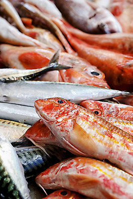 포토 JPG 해외이미지 동물 산업 음식 바다 백그라운드 비즈니스 재료 자연 낚시 거리 건강 육류 어류 사람없음 가로 판매 세일 죽음 신선 잡기 변화 시장 작음 먹기 해산물 오브젝트 소매 해외202004 해외포토 컨셉 식재료 모션 레저 수중동물 크기 생태계 파일형식 이미지허브