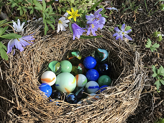 포토 JPG 해외이미지 동물 계절 공 조류 사랑 사람없음 우주 준비 주목 특별함 해외202004 해외포토 감정 컨셉 파일형식 이미지허브