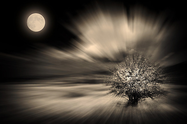 포토 JPG 해외이미지 나무 구름 디자인 백그라운드 잎 밭 일러스트 모션 상상 바람 추상 미래 창조 사람없음 빛 어둠 광선 달 야간 깊이 블러 효과 해외202004 해외포토 자연요소 식물 컨셉 무늬 농업 날씨 파일형식 이미지허브