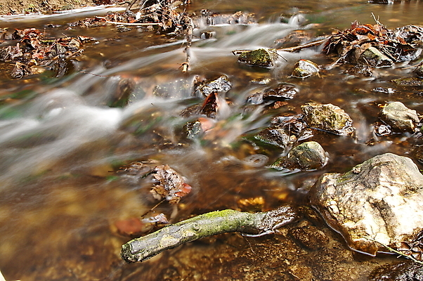 포토 JPG 해외이미지 나무 계절 공원 물결 여행 잎 오렌지 모션 자연 풍경 사람없음 야외 빨간색 초록색 물 강 컬러풀 노란색 환경 계곡 고요 흐름 가을 바위 시간 개울 숲 내추럴 해외202004 해외포토 자연요소 식물 공공시설 컬러 컨셉 과일 돌_바위 생태계 파일형식 이미지허브