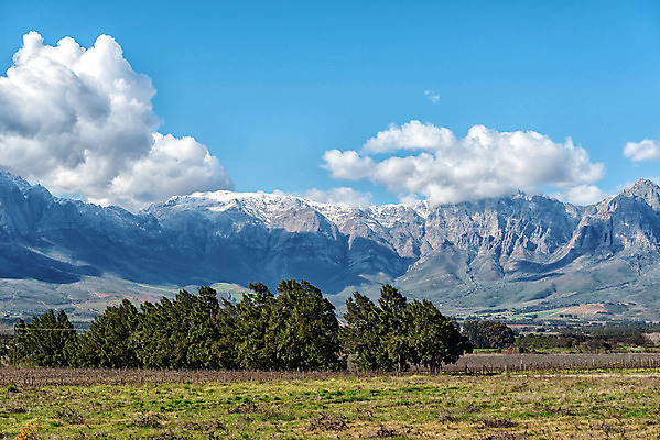 포토 JPG 해외이미지 나무 여행 겨울 농업 아프리카 산 풍경 사람없음 초록색 파란색 햇빛 농장 맑음 회색 흰색 시골 포도밭 남아프리카 해외202004 해외포토 식물 계절 나라 산업 컬러 밭 날씨 태양 파일형식 이미지허브