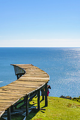 포토 JPG 해외이미지 계절 여행 백그라운드 자연 하늘 풍경 사람없음 야외 목재 미국 산책 장면 태평양 칠레 남쪽 내추럴 해외202004 해외포토 나무 바다 북아메리카 재료 휴식 남아메리카 방향 생태계 파일형식 이미지허브