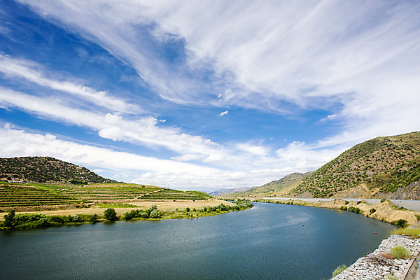 포토 JPG 해외이미지 외관 유럽 자연 풍경 사람없음 야외 강 와인 계곡 폭포 시골 포르투갈 포도밭 내추럴 도루강 서유럽 해외202004 해외포토 나라 밭 주류 생태계 파일형식 이미지허브