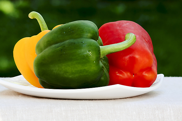 포토 JPG 해외이미지 라이프스타일 음식 백그라운드 농업 다이어트 채소 자연 건강 사람없음 빨간색 초록색 노란색 주방 식사 샐러드 흰색 신선 양념 그룹 달콤 맛 먹기 오브젝트 유기농 날것 후추 내추럴 숙성 채식주의자 해외202004 해외포토 웰빙 산업 컬러 컨셉 모션 생활 향신료 생태계 채식 파일형식 이미지허브