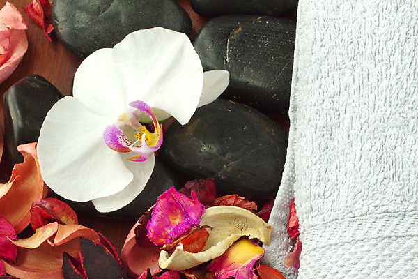 포토 JPG 해외이미지 식물 꽃잎 꽃 줄기 분홍색 꽃다발 백그라운드 잎 꽃무늬 자연 프레임 선물 사람없음 장식 빨간색 초록색 정원 보라색 검은색 어둠 봄 활발 벚꽃 흰색 나뭇가지 신선 난초 우아함 제비꽃 오브젝트 싱글 심플 고립 돌봄 해외202004 해외포토 나무 계절 컬러 컨셉 무늬 모션 생태계 파일형식 이미지허브