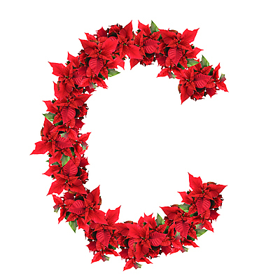 포토 JPG 해외이미지 모양 식물 캐릭터 디자인 알파벳 계절 꽃 별 백그라운드 잎 크리스마스 텍스트 자연 휴가 새로움 발렌타인데이 사람없음 장식 빨간색 초록색 단어 흰색 축하 신용카드 편지 연도 오브젝트 사인 메뉴 싱글 슛 C 포인세티아 고립 해외202004 해외포토 자연요소 문자 영어 기념일 컬러 컨셉 데이이벤트 금융 생태계 파일형식 이미지허브